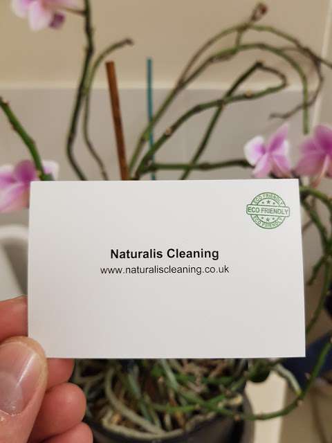 Naturalis Cleaning
